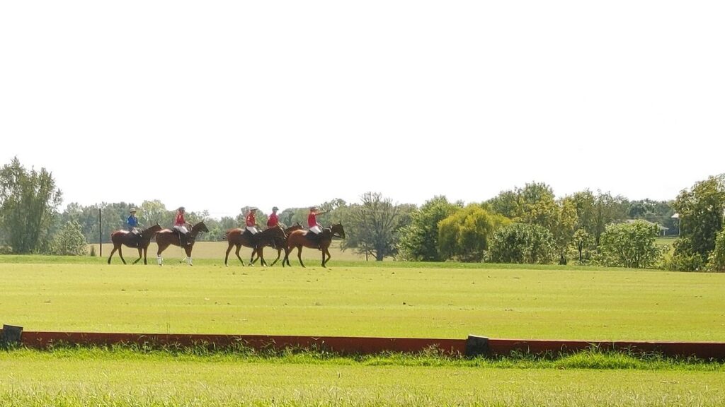 Kentucky Horse Park