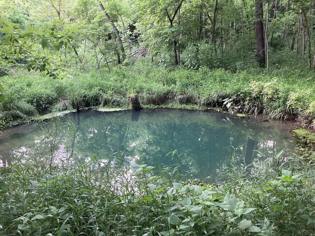 The Blue Hole spring at McConnell Springs in Lexington, Kentucky