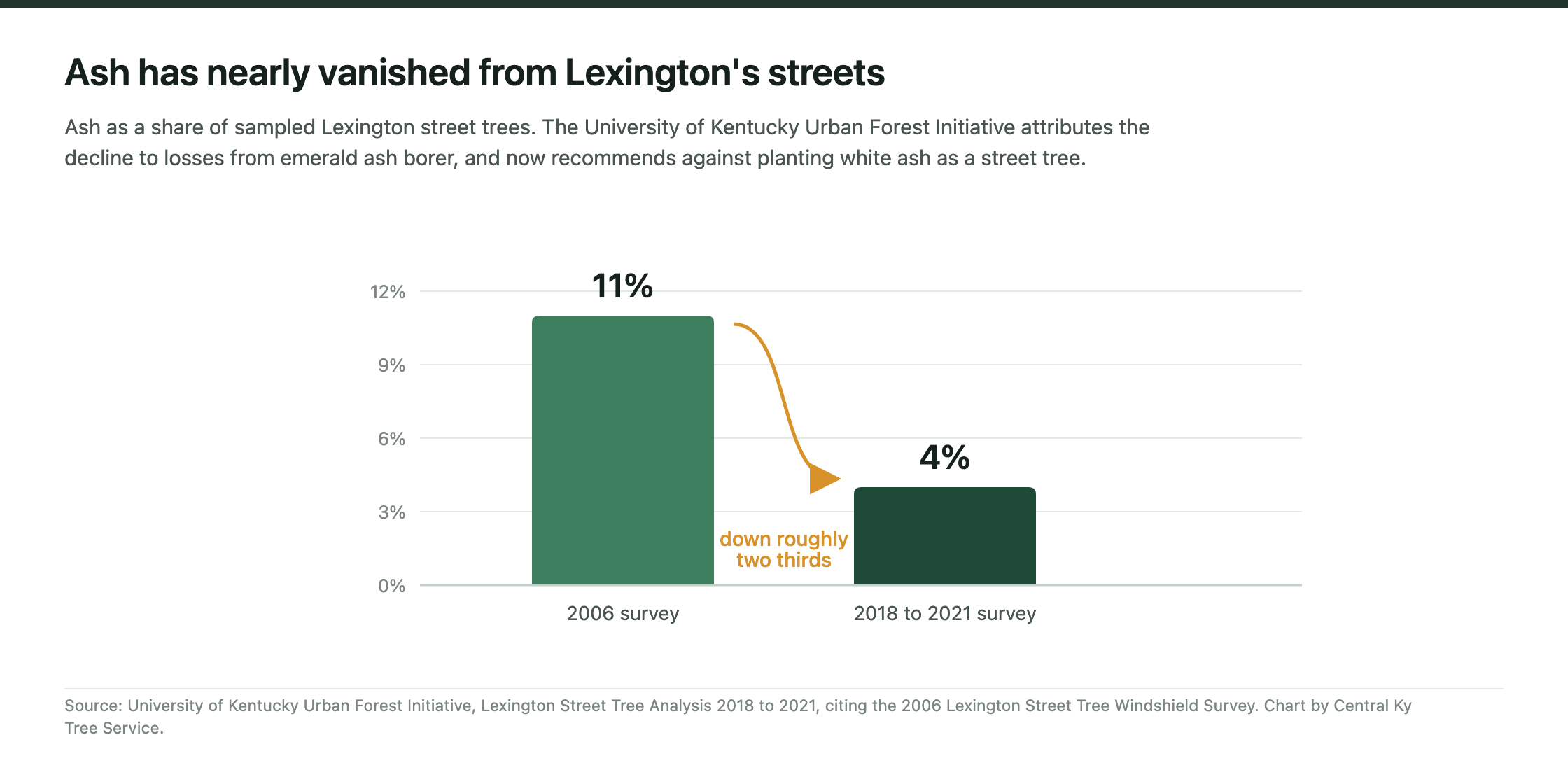 Bar chart showing ash falling from 11 percent of sampled Lexington street trees in 2006 to 4 percent in the 2018 to 2021 survey.