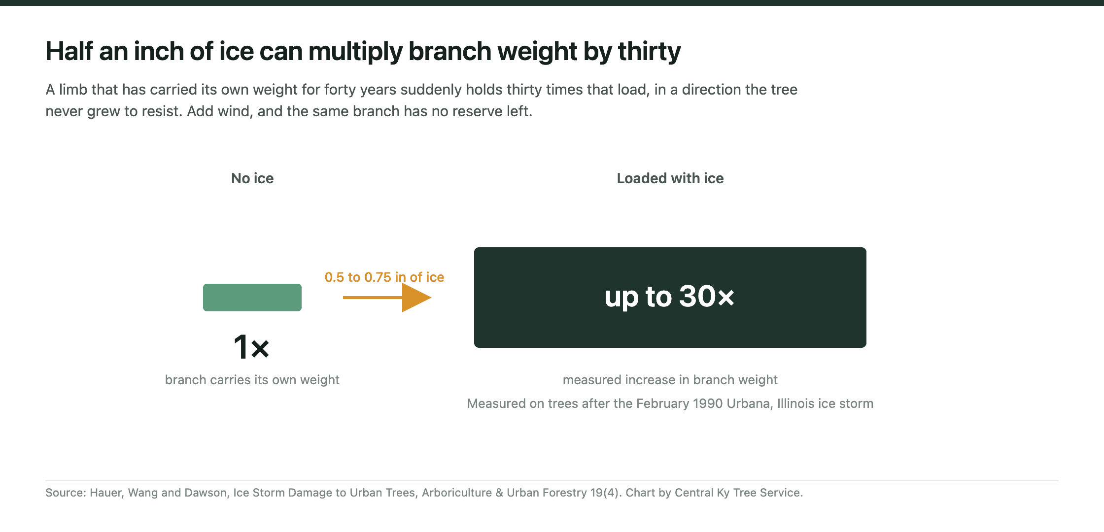Comparison graphic showing a branch at its normal weight beside the same branch loaded with half to three quarters of an inch of ice, at up to thirty times the weight.