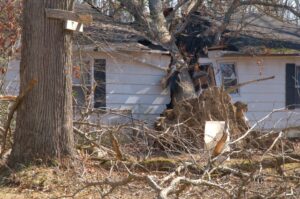 House in Reidland, Kentucky with a large tree fallen onto it after the 2009 ice storm
