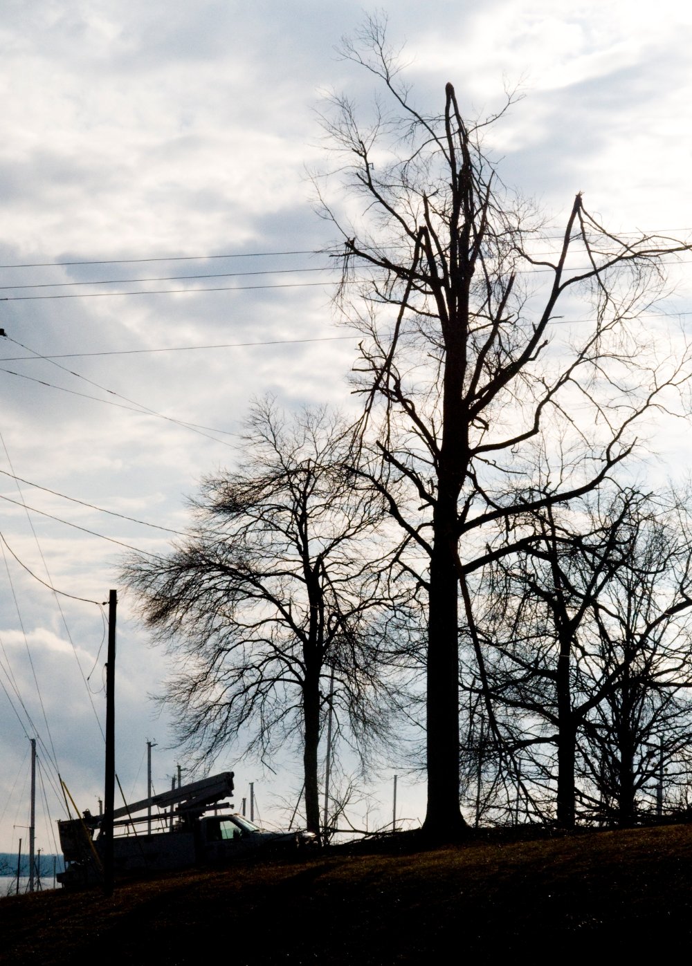 Utility line crew working among broken trees in Grand Rivers, Kentucky after the 2009 ice storm