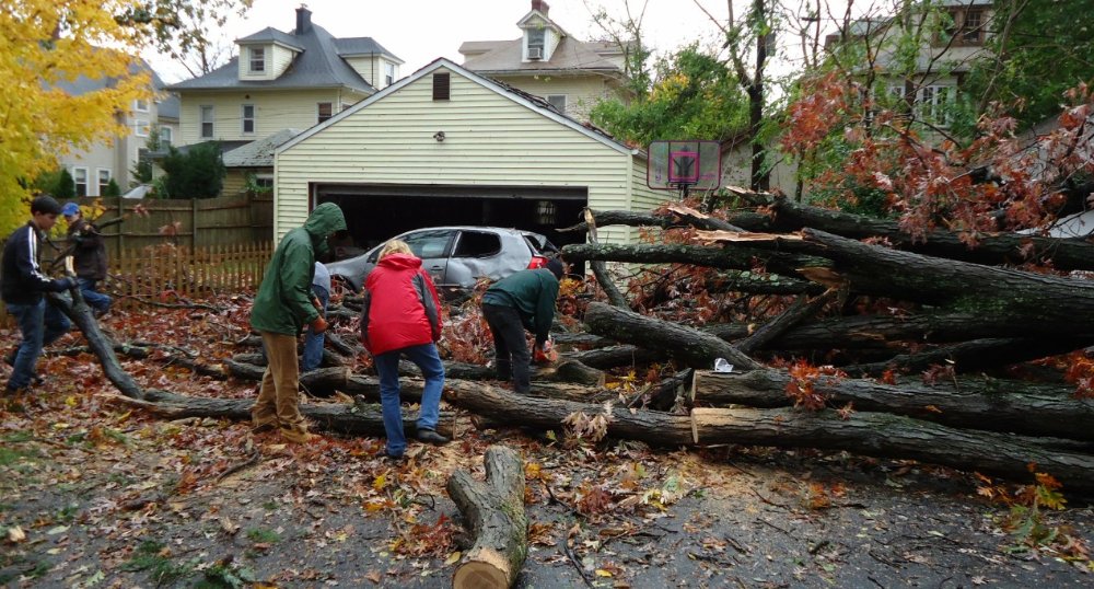 Large tree fallen across a car and fence in a residential driveway after a storm